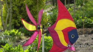 2012 - Sonneneck im Detail - Bild 10