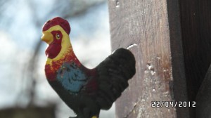 2012 - Sonneneck im Detail - Bild 1