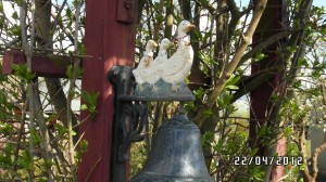 2012 - Sonneneck im Detail - Bild 3