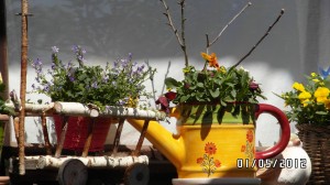 2012 - Sonneneck im Detail - Bild 7