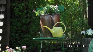 2012 - Sonneneck im Detail - Bild 8
